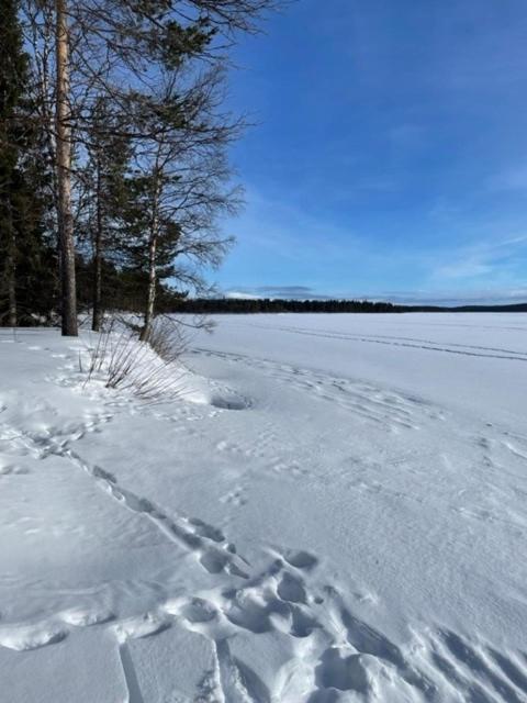 Siljonranta Villa มัวนิโอ ภายนอก รูปภาพ